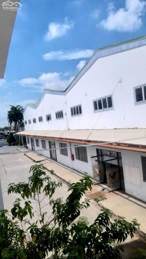 https://khoxuongmiennam.net/ Cho thuê Kho Xưởng 8.000m2 Bình Chánh. Xưởng thông thoáng, sạch đẹp.