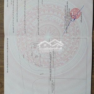 bán lô góc đối diện noxh tại lam sơn nexus city, giá thỏa thuận, 106.5m2 hướng đn