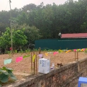 ngân hàng phát mại nhà tại quốc lộ 45, như thanh, thanh hóa, 435 triệu, 603m2, view đẹp, hot
