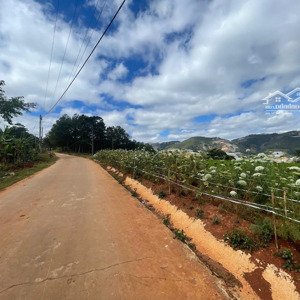 bán lô đất đẹp 1.4 ha tại xuân thọ, đà lạt