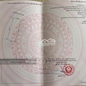bán đất mặt đường bạch thái bưởi, tái định cư cây đa, 63 m2, vị trí kinh doanh đắc địa giá 140tr/m2