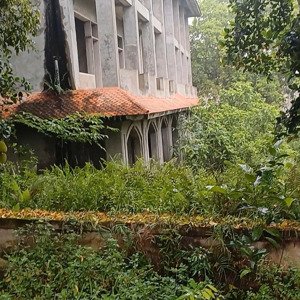 bán 28000m2 đất cty sản xuất kinh doanh tại nhuận trạch, lương sơn, hoà bình