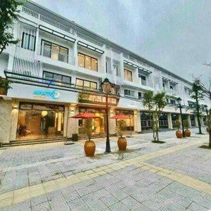 Cần Chuyển Nhượng Lô Góc Shophouse, Eco Garden, Dt 244m2, Mặt đường Lê đức Anh 60m