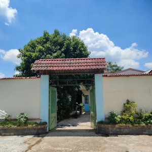 Chủ Ngộp Bán Nhà Hoàn Công Mặt Tiền đường 489, Phạm Văn Cội, Củ Chi Giá Chỉ 5 Tỷ