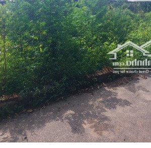 bán đất 105m2 tại đường tỉnh lộ 8, xã tân thạnh tây, củ chi, hồ chí minh, giá 1,6 tỷ
