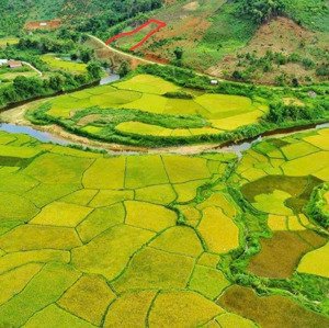 bán trang trại, khu nghỉ dưỡng ở quốc lộ 24, măng đen, kon plông, kon tum, 1,8 tỷ, 3000 m2