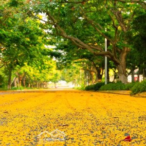 bán nhanh nhà phố thủy nguyên 2 mặt tiền kinh doanh tốt, nhà hoàn thiện full nội thất