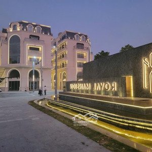 bán dinh thự royal mansion, đường hùng vương, tân tiến, bắc giang, 84m2, giá chỉ từ 4 tỷ