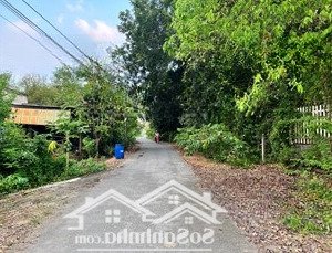 cần bán 188m2 đất thổ cư xã thái mỹ, huyện củ chi giá ngộp 980 triệu công chứnng ngay