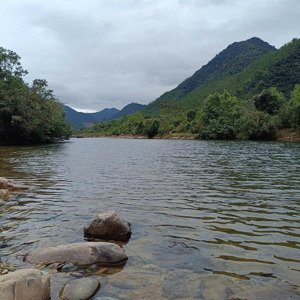 siêu phẩm hơn 2.100m² view suối tuyệt đẹp, chỉ 5,3 tỷ. liên hệ ngay 0905257686