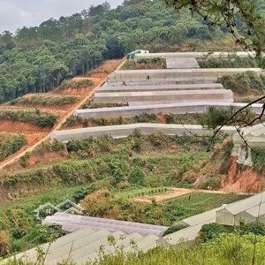 Bán Lô đất Tại Phường 5 Nối Liền Với Xã Tà Nung, Tp.đà Lạt, Tỉnh Lâm đồng
