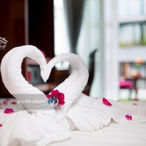 bán nhà mặt phố cổ - tt hoàn kiếm dt trên 1 tỷ/năm 60m² x 6 tầng nhỏ xinh vừa tiền cực hiếm