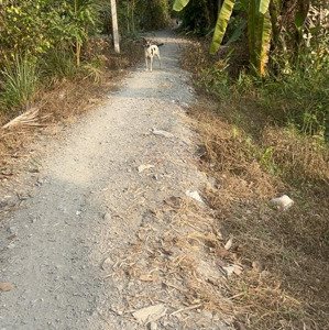 bán đất shr thổ cư 100% xã hựu thạnh huyện đức hoà - tỉnh long an