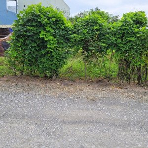 bán đất dn wintown,ngang 5 dài 19,5.giá siêu hời 1,15 tỷ 100m2 full thổ, hựu thạnh