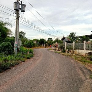 bán đất sào 1000m2, phủ hồng, mặt tiền đường nhựa, xã an viễn