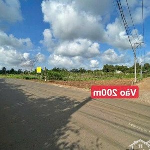 bán vườn bưởi 1000m2, ngang 14m đường hiện hữu, xã hưng thịnh