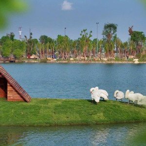 nhận booking trực tiếp chung cư ecoretreat long an. liên hệ em ánh 0917894713