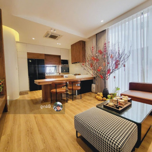 phân lô ô tô vào nhà, nhà đẹp ở ngay, full nội thất sang xịn mịn, dân xây chắc chắn, mới nguyên
