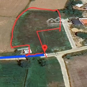 Cho Thuê đất Diện Tích 3 Xào: 1600m2 .ở Nghĩa Dõng, Quảng Ngãi đẹp, Tiện ích