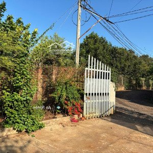 nhà vườn thống nhất, giá tốt 1tr9/m2 có sẵn 300m2 thổ cư, nhà cấp bốn rộng rãi, sổ hồng riêng