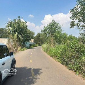 chính chủ cần bán lô cây gáo đường nhựa 279tr giá bán trong tháng