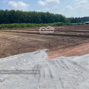 chính chủ bán đất giá rẻ 250tr:211m2, sổ hồng riêng, sát kcn nam đồng phú , bình phước