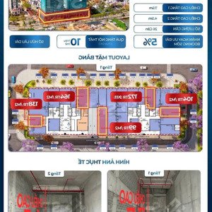 sun group chính thức mở bán shophouse khối đế sun ponte