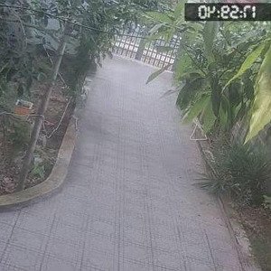 cho thuê nhà riêng 3pn, 2wc tại đường 39, diên lâm, diên khánh, khánh hòa, 2,8 triệu