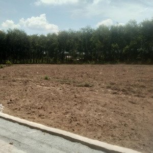 bán đất mặt tiền đt 741, 290 triệu, 350m2, pháp lý đầy đủ cực chất