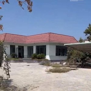 bán nhà vườn mái nhật, mặt tiền đường 15 gần hồ marina, châu pha, tp.phú mỹ, brvt, 535m2(20x26m)