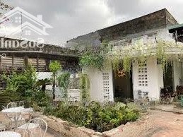 cho thuê biệt thự quận 3 hẻm xe hơi, diện tích khủng 700m, phù hợp ở và kinh doanh