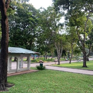 nhà đẹp hẻm 10m thông bàn cờ, xe thông vi vu 64m2 xây 5 tầng, mt 4m, kinh doanh, chỉ 20.8 tỷ