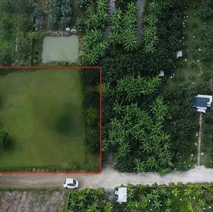 Vườn Bưởi Da Xanh Tân Triều View Hồ - Nghỉ Dưỡng Ven đô
