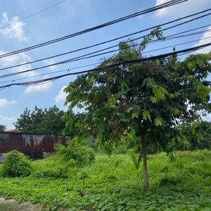 bán đất nền 100m2 giá chỉ 900tr, hẻm trần vĩnh kiết phường ninh kiều,cần thơ, giá cực ưu đãi