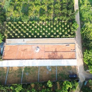 bán đất 100m2, 2,8 tỷ tại đường 21, xã hòa thạch, quốc oai, hà nội