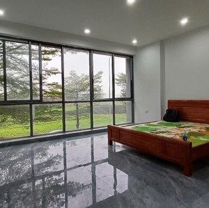 cho thuê căn hộ 2 phòng ngủ, 68m2, tầng 2, khu đô thị tms grandcity, full nội thất, vào ở ngay