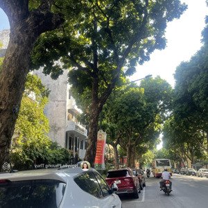 (hiếm) bán nhà kinh doanh mặt phố trần hưng đạo - hoàn kiếm, 383m2, mặt tiền rộng 9.1m, 375 tỷ