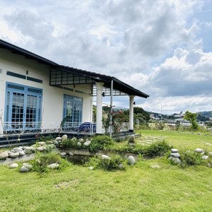 Cho Thuê Nhà đất 2000m2 đẹp View đồi Thông An Sơn, đà Lạt Giá Chỉ 16 Triệu/ Tháng