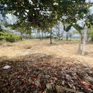 chính chủ bán lô đất mặt tiền biển cực đẹp tại phan thiết vị trí đắc địa tiềm năng tăng giá cao