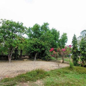 đất củ chi nhà vườn có thổ cư, đường ô tô