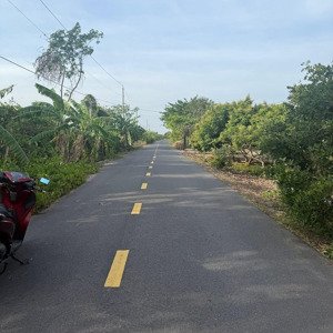 bán 2 sào đất bình châu, có vườn nhãn xuồng, gần đường 991 ( sân bay long thành-bình châu)