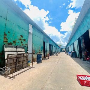 Xưởng Xây Gần Full Mặt Tiền đường Nhuận đức Huyện Củ Chi 4253m2