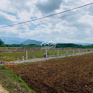 làm việc trực tiếp chính chủ bán lô đất vườn hoà nhơn, hoà vang, đà nẵng