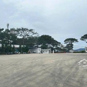 Cần Cho Thuê - Kho ở đồi Dã Chiến, P. 11, đà Lạt. Lh 0906694959