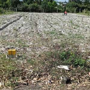 lô đất đẹp giá đầu tư - suối tiên, diên khánh