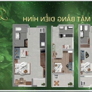 Chỉ Hơn 1 Tỷ ửu đãi Trả Góp 6tr/tháng Không Lãi Không Vay đã Có Thể Sở Hữu Căn Tmdv Tại Tt Avio