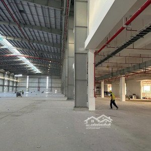 Cho Thuê Kho Xưởng Mới 22.000m2 Tại Kcn Long Hậu Long An, Pccc Tự động Gần Cảng