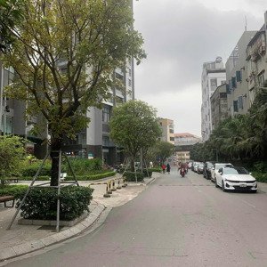 Bán Nhanh Lô đất đấu Giá đền Lừ 2, Cạnh Louis City