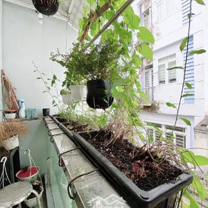 bán nhà mới đẹp - ngay sư vạn hạnh - 3 tháng 2 - quận 10 - dt: 50m2 - 3 tầng - 3pn - hoàn công đủ