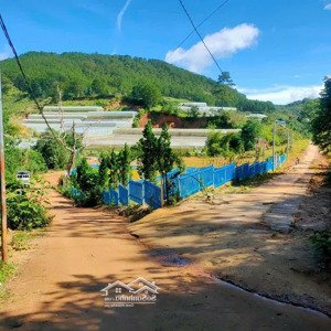 cần tiền cho con đi học bán lỗ đất đẹp tại măng lin, phường 7, tp đà lạt, giá sốc, 517.05m2